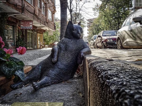 Ofis taşıma hizmeti
